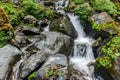The water flow in the jungle Royalty Free Stock Photo