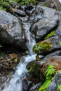 The water flow in the jungle Royalty Free Stock Photo