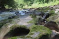 water flow over mossy rock Royalty Free Stock Photo