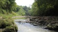 water flow over mossy rock Royalty Free Stock Photo