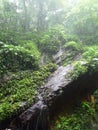 water flow from the putri waterfall flows to the big rock Royalty Free Stock Photo