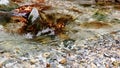 Water flow and rocks in river