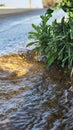 Water flow after snowmelt Royalty Free Stock Photo