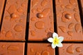 Water and flower drops on wood floor Royalty Free Stock Photo