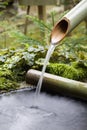 Water flowing from bamboo pipe Royalty Free Stock Photo