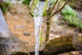 water flowing from bamboo pipe Royalty Free Stock Photo