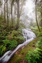 Water flowing at a beautiful waterfall at Inthanon nation park, Chiangmai, Thailand.