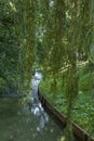 Water channel flowing under green leafs in spring Royalty Free Stock Photo