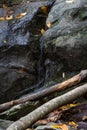 Water flowing from a crack in large boulders, deadfall foreground,