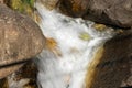 Water Flowing in the Creek