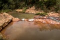 Water Flowing Down a Stream in the Savannas of Brazil