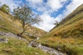 Water flowing fown Bucken Beck Royalty Free Stock Photo