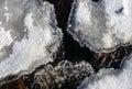 water flowing in a icy creek in winter Royalty Free Stock Photo