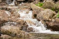 Water Flowing From The Mountains. A Mountain Stream
