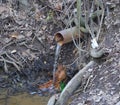 Water is flowing from an old rusty sewer pipe sticking out of the ground Royalty Free Stock Photo