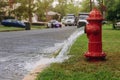 Water flowing from an open red fire hydrant is wet from the spray