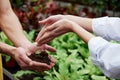 Water is flowing out. Woman hands watering the little plant that holding by a men Royalty Free Stock Photo