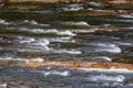 Water flowing over rocks forming little rapidsl