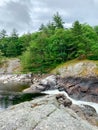 Water flowing over rapids on a rocky shore with pine trees