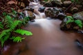 Water flowing over rocks with green plants Royalty Free Stock Photo