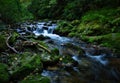 Water flowing over rocks in a stream Royalty Free Stock Photo