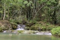 The water flowing over rocks and trees down a waterfall at Kapao waterfall National Park ,Chumphon in Thailand