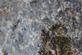 Water Flowing Over Smooth Stones Royalty Free Stock Photo