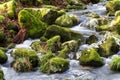 Water flowing over stones. near base of waterfall winter. Royalty Free Stock Photo