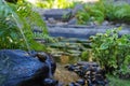 Water flowing on the stones Royalty Free Stock Photo