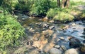 Water flowing stream in forest Royalty Free Stock Photo
