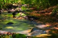 The water flows from the creek flowing through the rocks in the tropical Rainforest in Thailand,Phang Nga,Koh Yao Yai Royalty Free Stock Photo