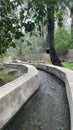 water flows down a concrete walkway next to a palm tree Royalty Free Stock Photo