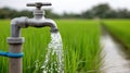 Water flows from an engine into a green rice field in Thailand, demonstrating essential irrigation techniques and agricultural Royalty Free Stock Photo