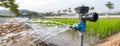 Water flows from an engine into a green rice field in Thailand, demonstrating essential irrigation techniques and agricultural Royalty Free Stock Photo