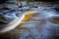 Water flows gently over the rocks in Davidson River in Pisgah Forest, NC