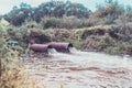 Water flows out of the drain/Ecology. Sewage pipes pollute the water in the river Royalty Free Stock Photo