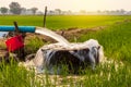 Water flows from a pipe to a round basin in green rice fields Royalty Free Stock Photo