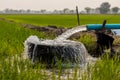 Water flows from a pipe to a round basin in green rice fields Royalty Free Stock Photo