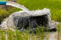 Water flows from a pipe to a round basin in green rice fields Royalty Free Stock Photo