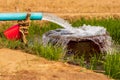 Water flows from pipes into a basin in rice fields near arid soil Royalty Free Stock Photo