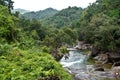 Rocky river flowing through tropical rainforest in Queensland, Australia Royalty Free Stock Photo