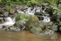 Water flows in the river in the middle of the forest