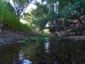 Shallow Creek with Vegetation