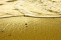 Water foam on sand Royalty Free Stock Photo