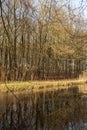 Water and forrest within the Dutch Waterloop Forrest for Hydraulic Research