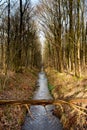 Water and forrest within the Dutch Waterloop Forrest for Hydraulic Research