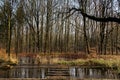 Water and forrest within the Dutch Waterloop Forrest for Hydraulic Research