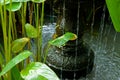 Water fountain Royalty Free Stock Photo