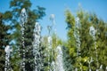 Water fountain in the background of trees in the park