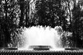 Water Fountain Black and White Photo